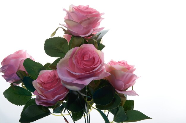 Artificial pink roses on a white wall.