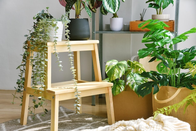 Artificial plant Indoor tropical natural houseplant for home interior and air purification Green corner in living room by the window