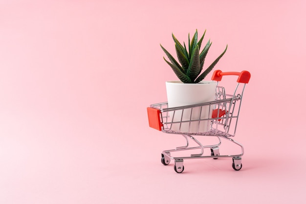 淡いピンクの背景を持つショッピングカートの人工植物。