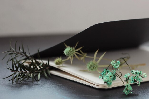 Artificial plants lying in notebook with blank white pages and black cover