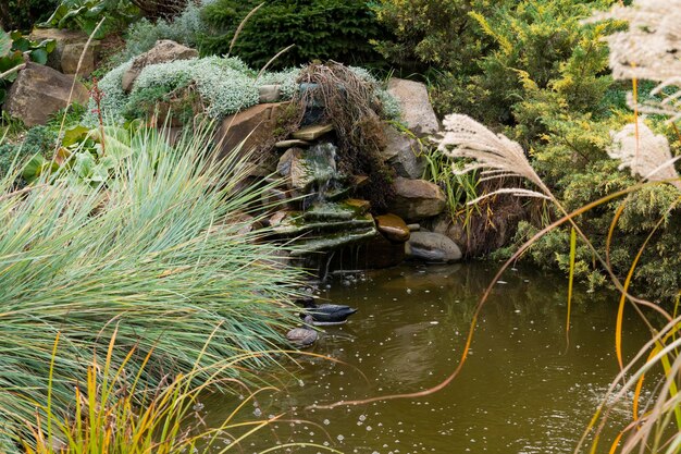 Artificial pond with stones in landscape design