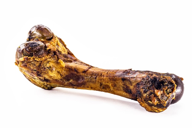 Artificial and realistic bone for dogs, chewable toy for dogs, on isolated white background.