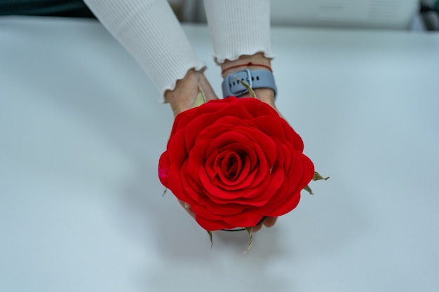 Artificial red rose in the hands of women