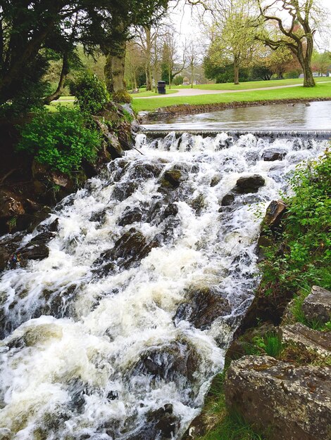 Photo artificial waterfall in garden