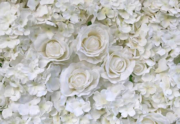 Фото Искусственный фон из белых роз и цветов.