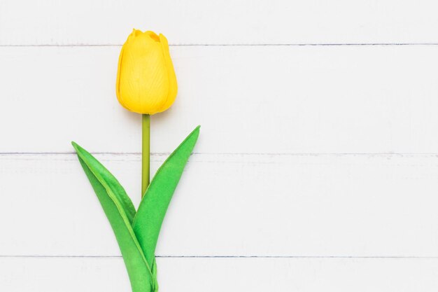 Foto tulipano giallo artificiale su sfondo bianco per la decorazione della natura e il concetto di primavera