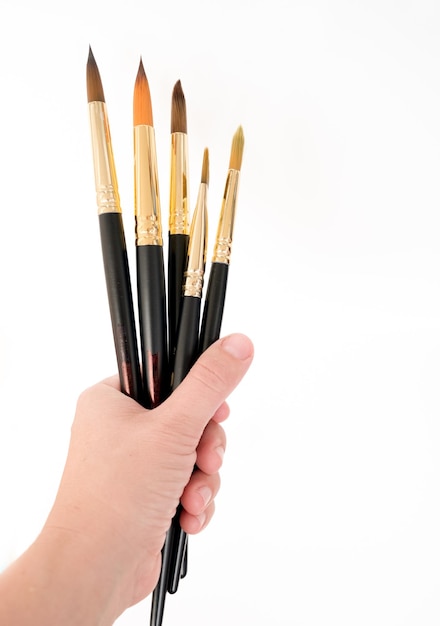 Artist's brushes on white background