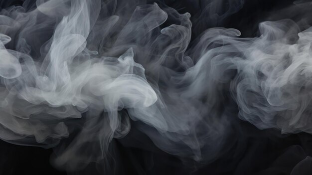 Artistic Abstraction Onyx Black and Enigmatic White Smoke