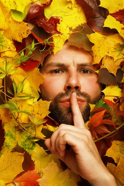 Artistic conceptual autumn beard man portrait colorful leaves\
leaves of trees around an emotional face autumn is coming