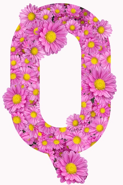 Artistic Letter Q alphabet with pink chrysanthemum flowers