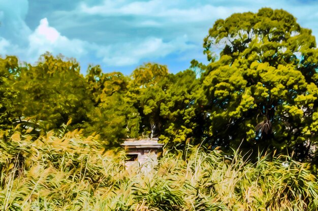 晴れた明るい晴れた日に緑の木々や草がたくさんある夏の公園の芸術的なリアルなイラスト