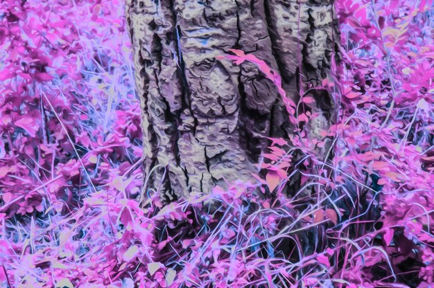 Foto illustrazione artistica realistica di sfondo floreale naturale tonico con bellissimi rami di albero