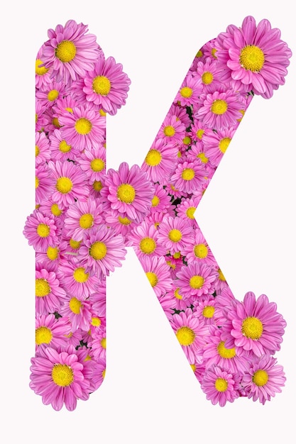 Artistieke Letter K alfabet met roze chrysant bloemen