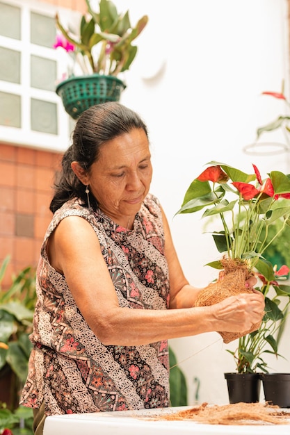 Foto l'arte nell'invecchiamento della casa colombiana