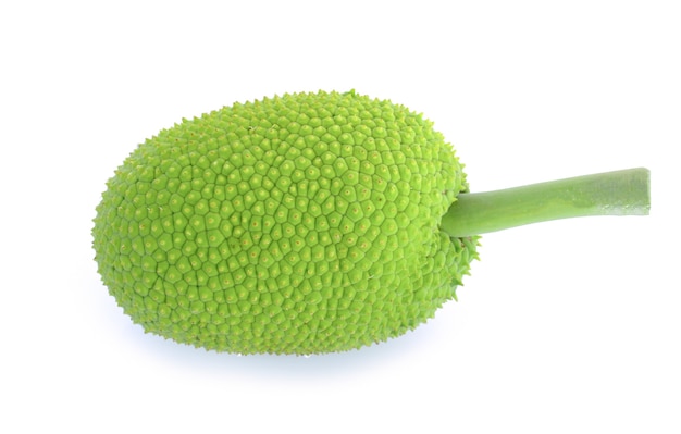 Artocarpus altilis geïsoleerd