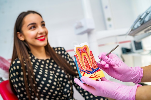 Arts toont op een plastic tandmonster of model verschillende methoden voor de behandeling van tanden Patiënt op onscherpe achtergrond Gezondheidsconcept Roze medische handschoenen op de handen van de vrouwelijke arts