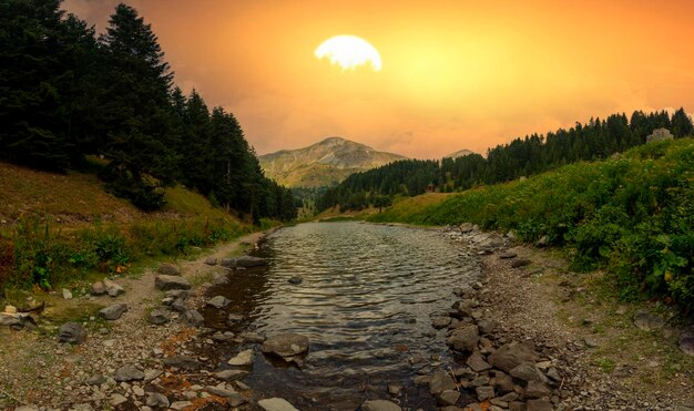 Photo artvin province savsat district fish lake