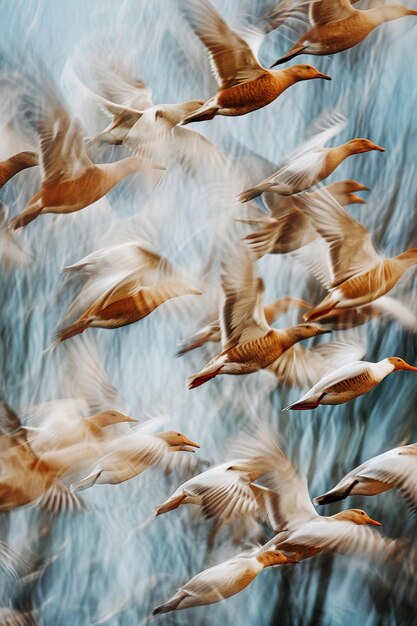 an artwork depicting a flock of migratory birds in a dynamic