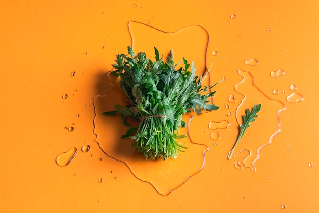 Arugula bundle on water splash on orange background