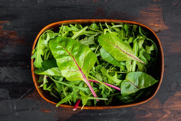 Arugula, Chard 허브 믹스 세트, 오래 된 어두운 나무 테이블 배경, 평면도 평면 누워