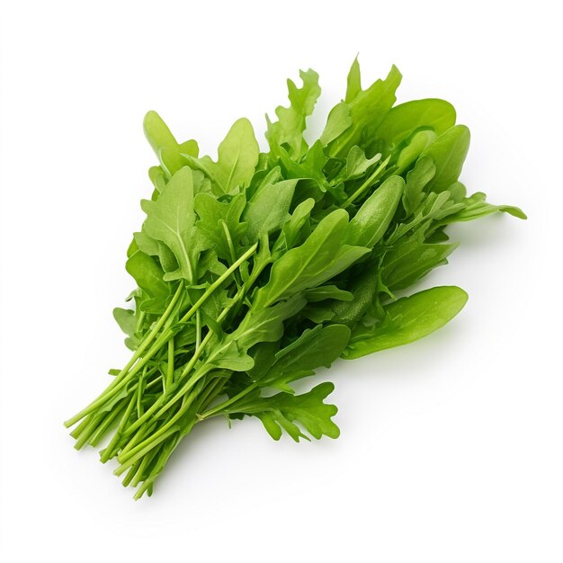  바탕에 고립 된 arugula 잎