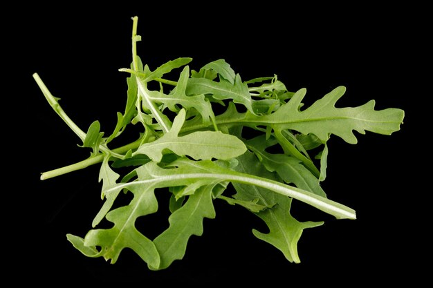 Insalata di rucola su sfondo nero foglie di rucola fresche isolate