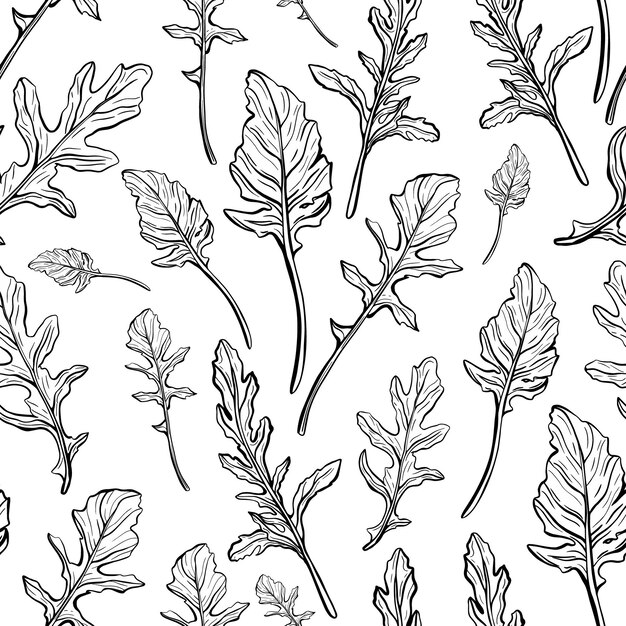 Photo arugula seamless pattern arugula leaves on a white background spicy and aromatic italian seasoning handdrawn vector illustration