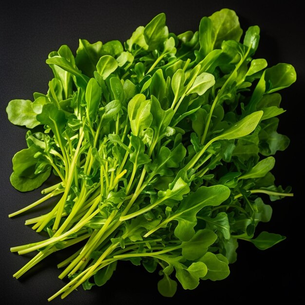 Photo arugula