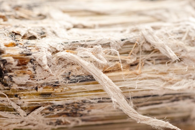 Asbestos, serpentine fibers