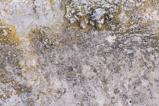 Asbestos slate texture concrete covered with lichen and moss, industry material natural cement