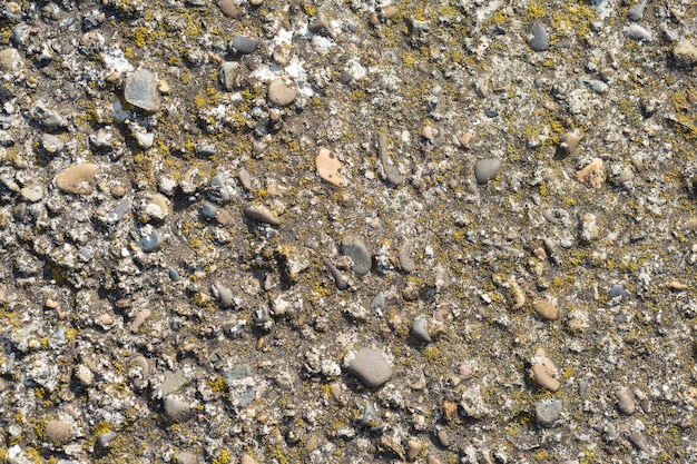 Asbestos slate texture concrete covered with lichen and moss, industry material natural cement