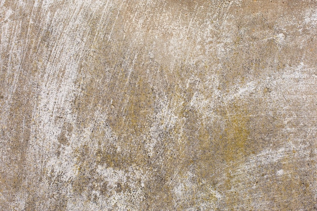 Photo asbestos slate texture concrete covered with lichen and moss, industry material natural cement