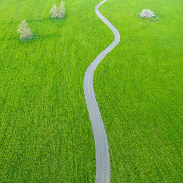 Asfalt plattelandsweg kronkelend door velden met groen gras en bomen minimalistisch luchtlandschap