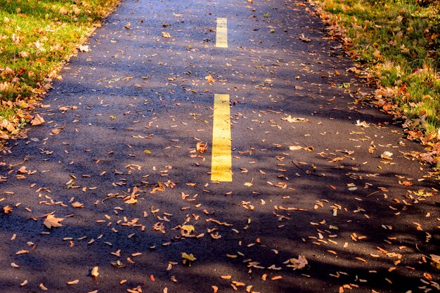 Asfaltfietspad in de herfst, gele streep