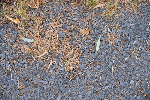 Foto asfalttextuur met gevallen bladeren in de herfst