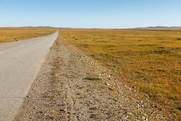 Asfaltweg in de Mongoolse steppe