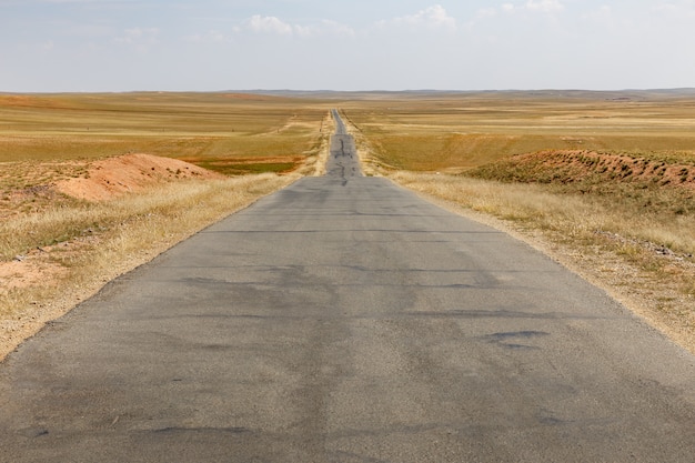 Foto asfaltweg in steppe, binnenmongolië