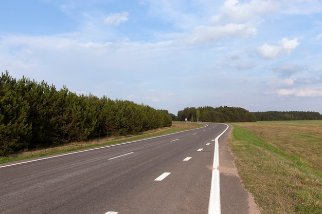 Asfaltweg met markeringen in het bos, zomerlandschap