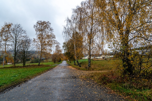 Asfaltweg op het platteland in de herfst