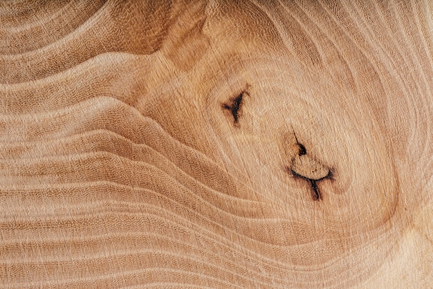 Photo ash wood slab texture with annual rings, background or wallpaper.