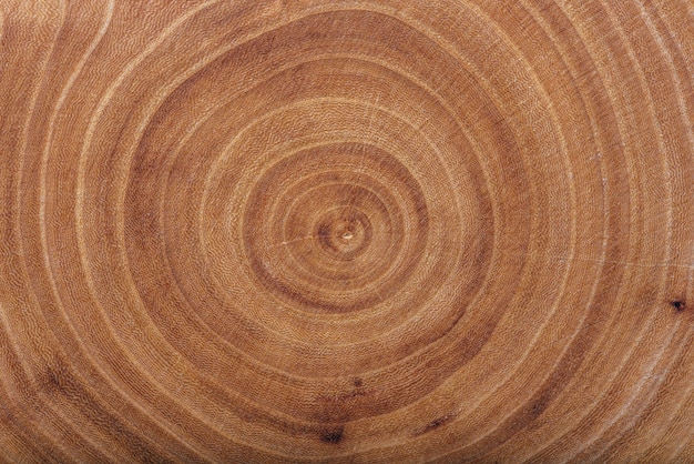 Ash wood slab texture with annual rings, background