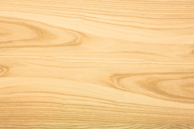 Ash wood texture. The background of the wood of hardwood 