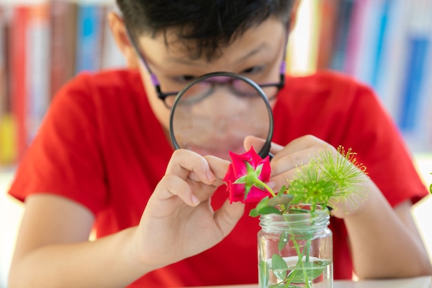 Studenti asiatici presso la flora scientifica