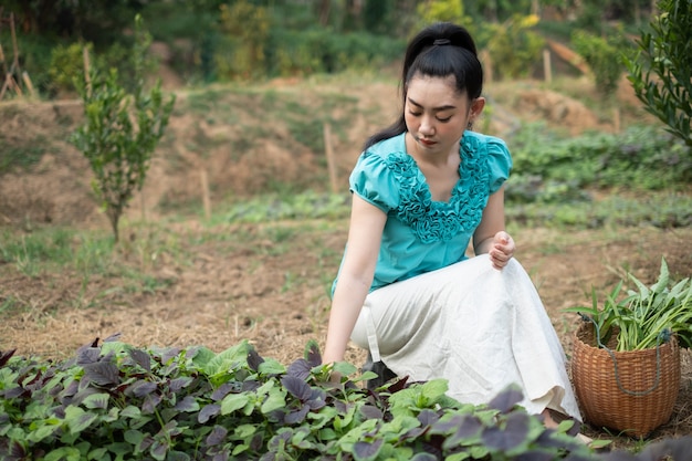 彼女の野菜の庭でアジアの女性