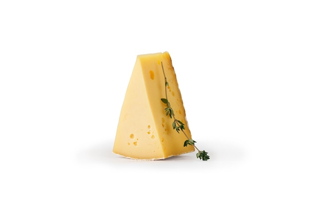 Asiago cheese isolated Piece of tasty Italian cheese on white with rosemary