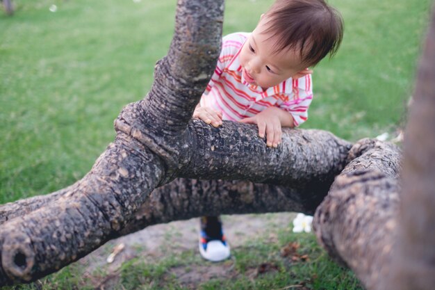 Asian 18 months / 1 year old toddler boy having fun trying to climb on the tree in park on nature