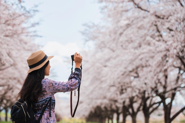 アジアの美しい若い女性が歩いて、桜と桜の咲く木の風景の背景と緑の芝生の庭で写真を撮る日本の春の季節の旅行のコンセプト