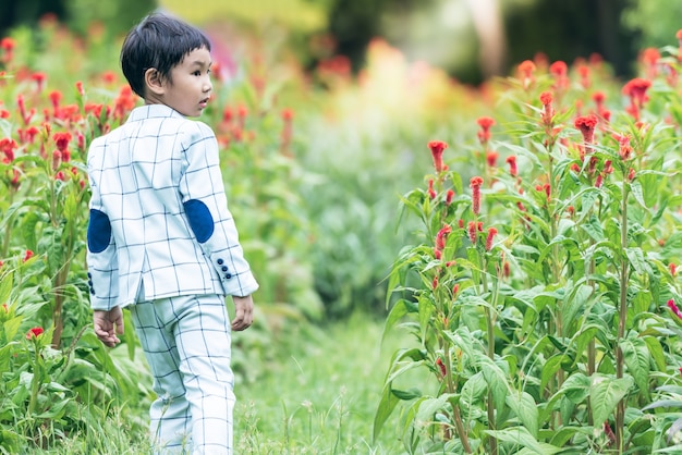 Asian boy 5 year old  wearing a white suit Stroll and relax in the flower garden in the park