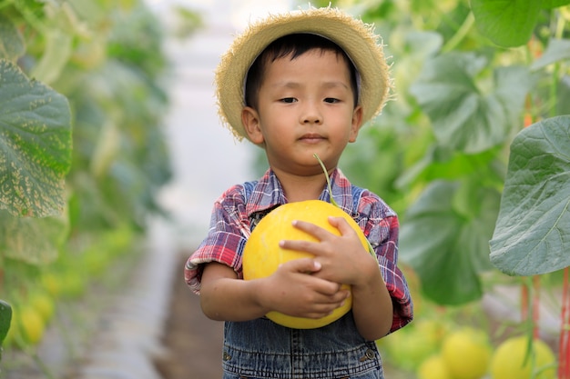 Asian boy and golden melon in an organic greenhouse