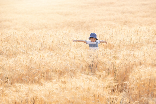 アジアの少年は楽しんで、夏に麦畑で遊ぶ。
